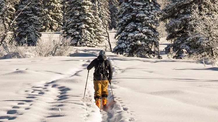 aktiv mann går på ski i dyp snø etter åreknutebehandling. Foto.