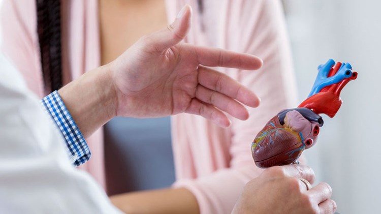 Hjertespesialist forklarer for en pasient